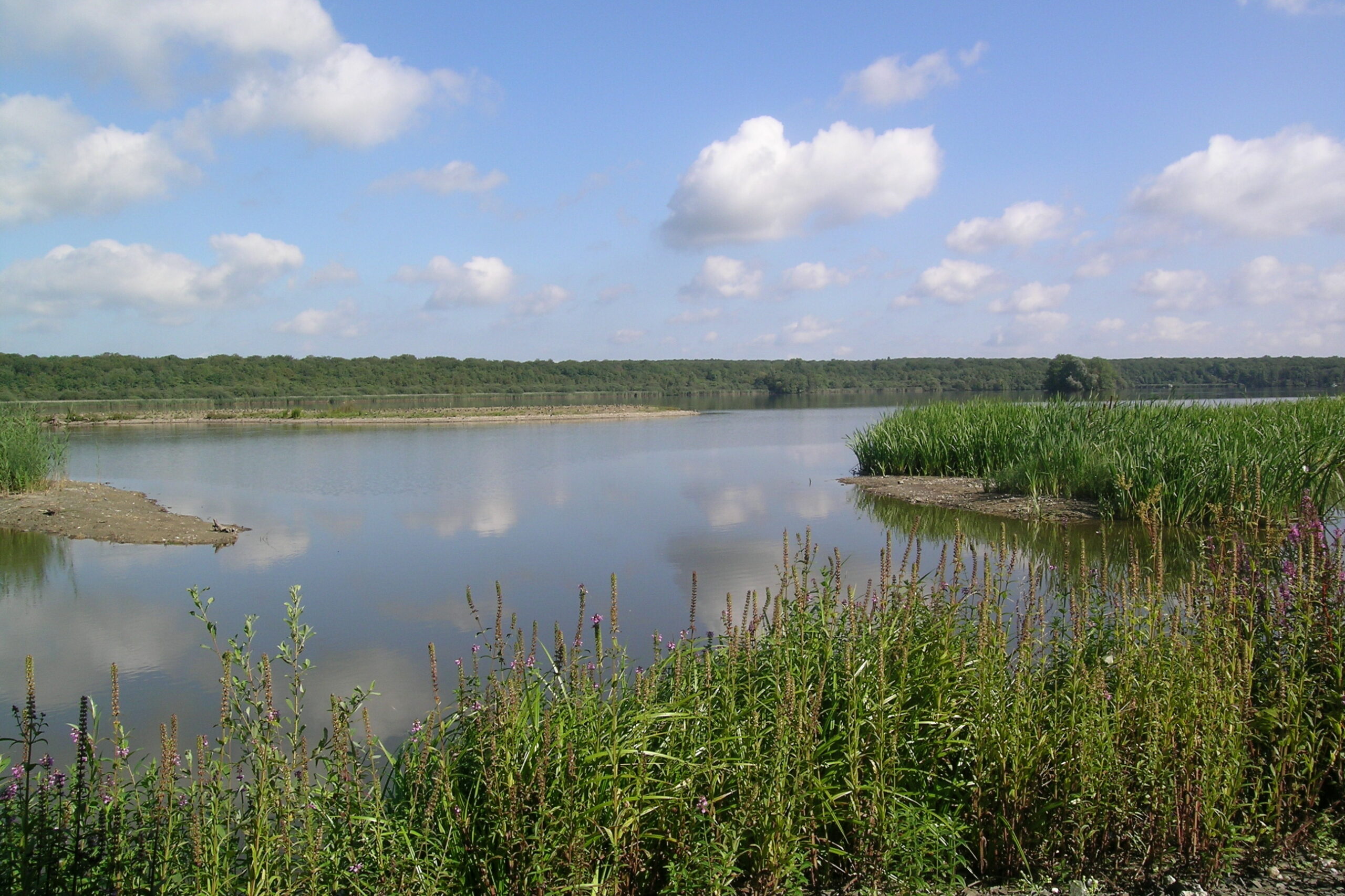 Wallonie insolite - Aquascope Virelles