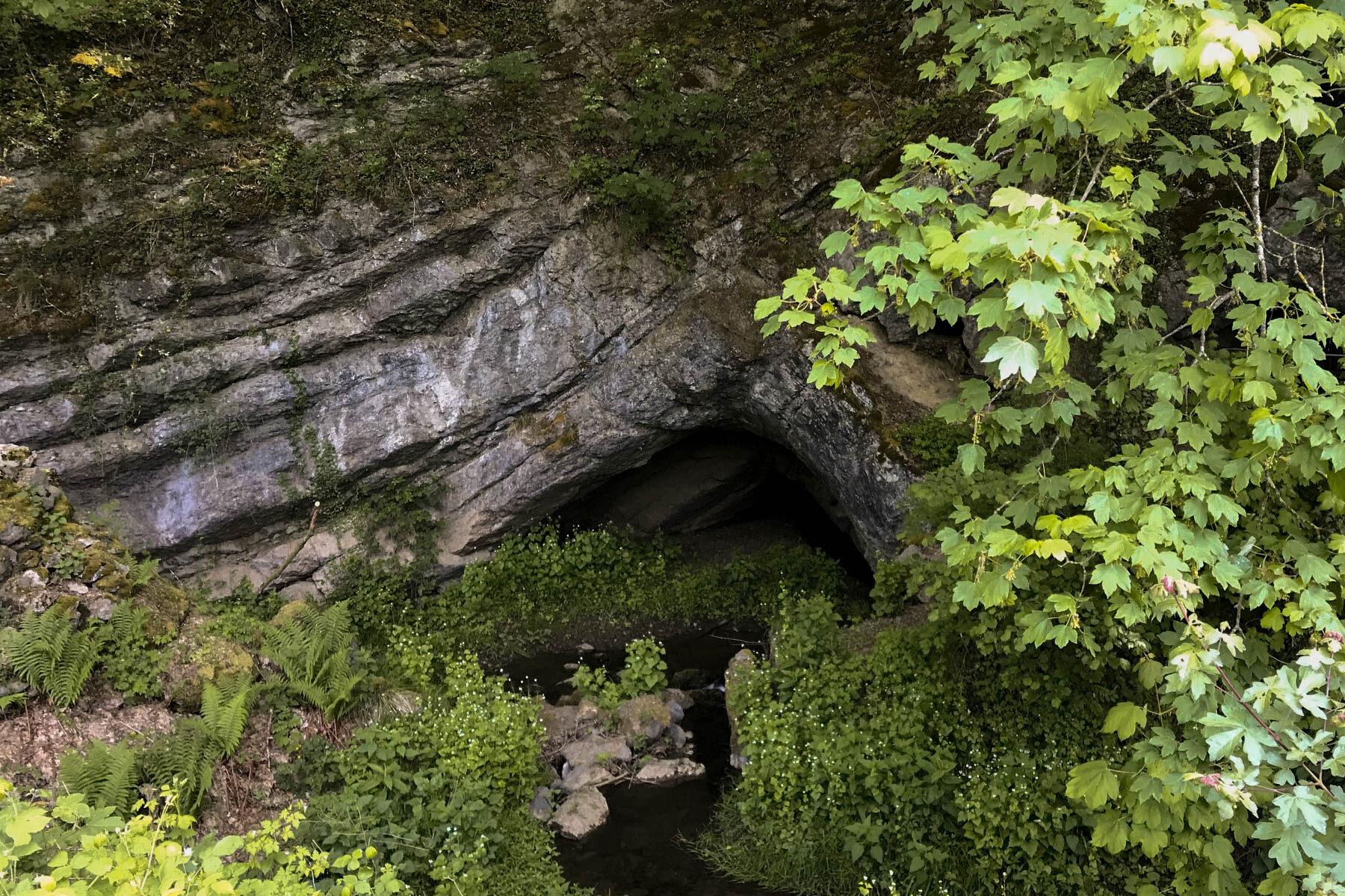 Grotte de Neptune