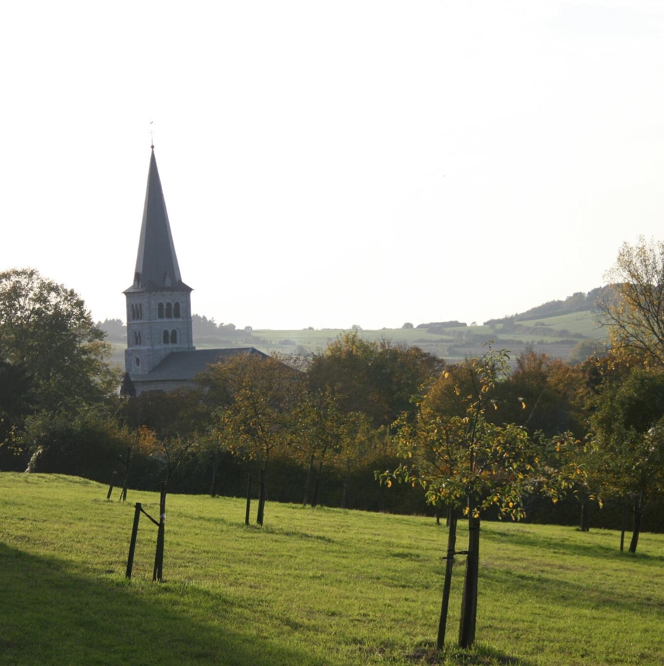 photoverger eglise petigny - henry nicolas